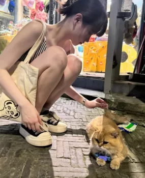 南通大学生